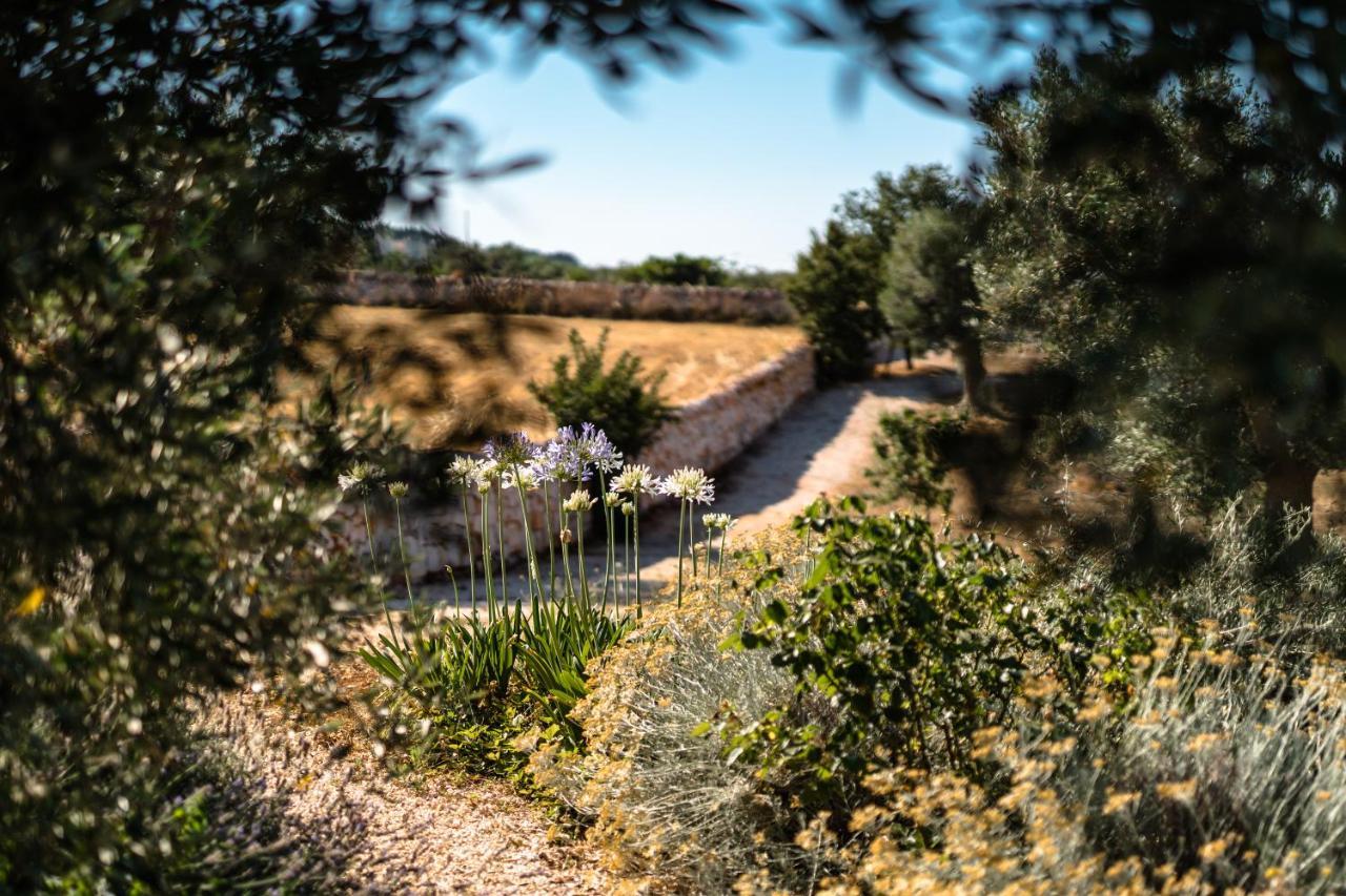 הוילה אלברובלו Trulli Ad Maiora מראה חיצוני תמונה